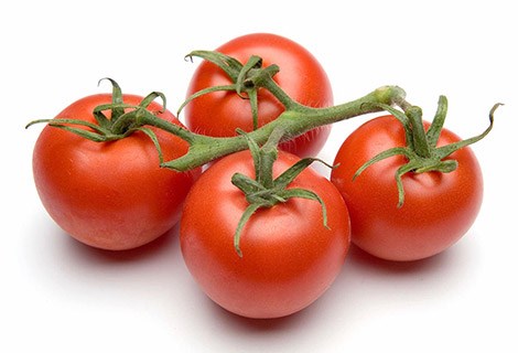 Agricultural Drip Irrigation