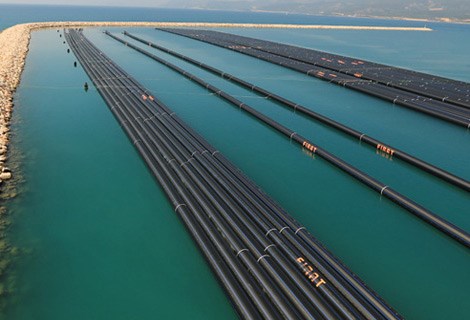 Potable Water Pipe Systems