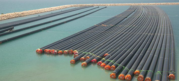 PE Pipe and Fittings 