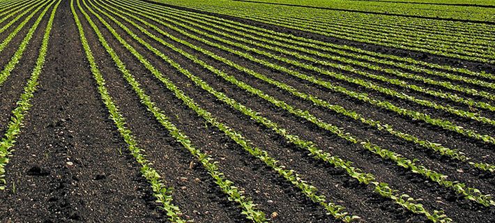 Flat Drip Irrigation Pipe