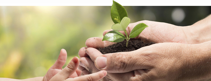 Our Environmental Awareness