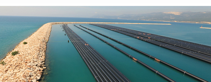 Basın Yansımaları